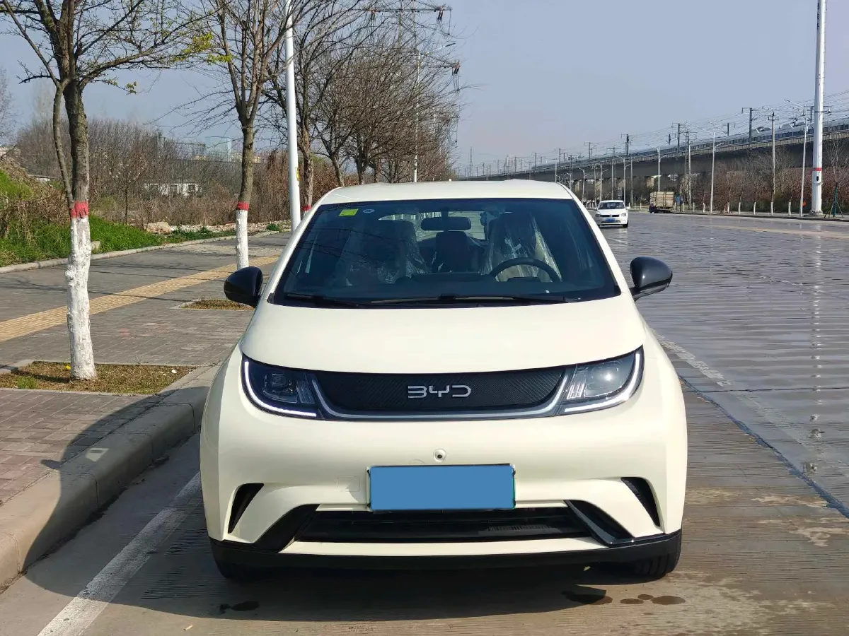 2025 BYD Dolphin BEV 44.928KWH,autocango,china used car exporter,china ev exporter,chinese used car exporter,chinese used ev exporter