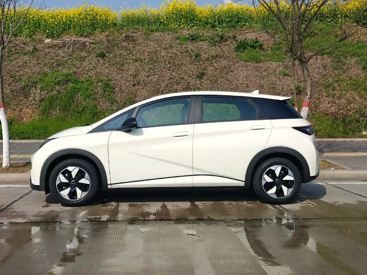 2025 BYD Dolphin BEV 44.928KWH,autocango,china used car exporter,china ev exporter,chinese used car exporter,chinese used ev exporter