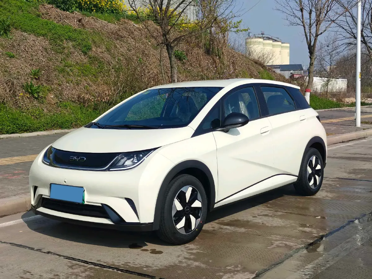 2025 BYD Dolphin BEV 44.928KWH,autocango,china used car exporter,china ev exporter,chinese used car exporter,chinese used ev exporter