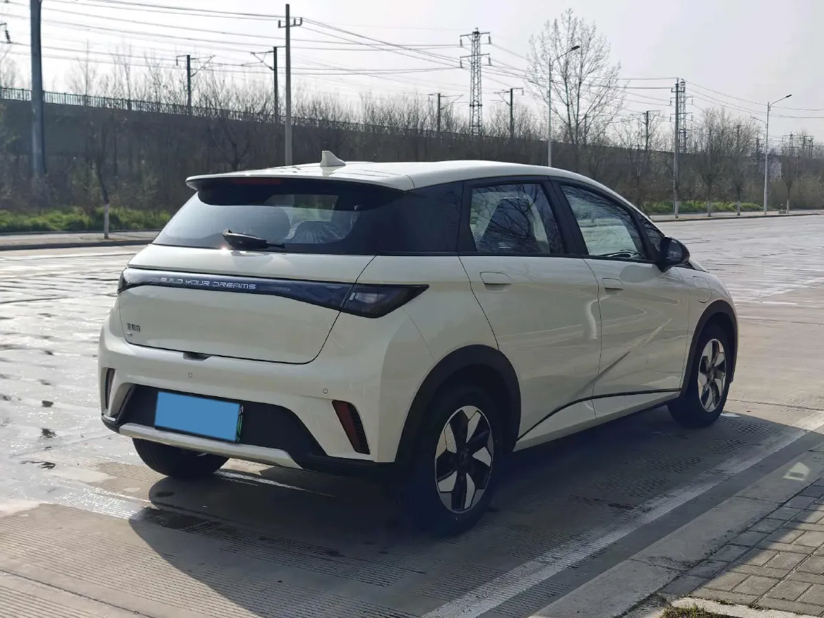 2025 BYD Dolphin BEV 44.928KWH,autocango,china used car exporter,china ev exporter,chinese used car exporter,chinese used ev exporter