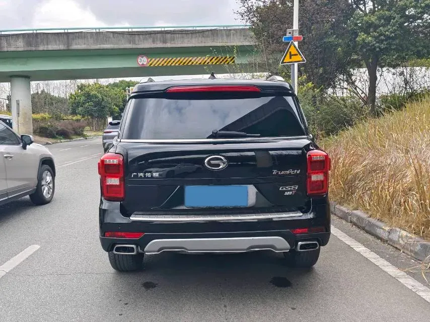2020 GAC Trumpchi GS8 2.0T 252HP L4 6AT,autocango,china used car exporter,china ev exporter,chinese used car exporter,chinese used ev exporter
