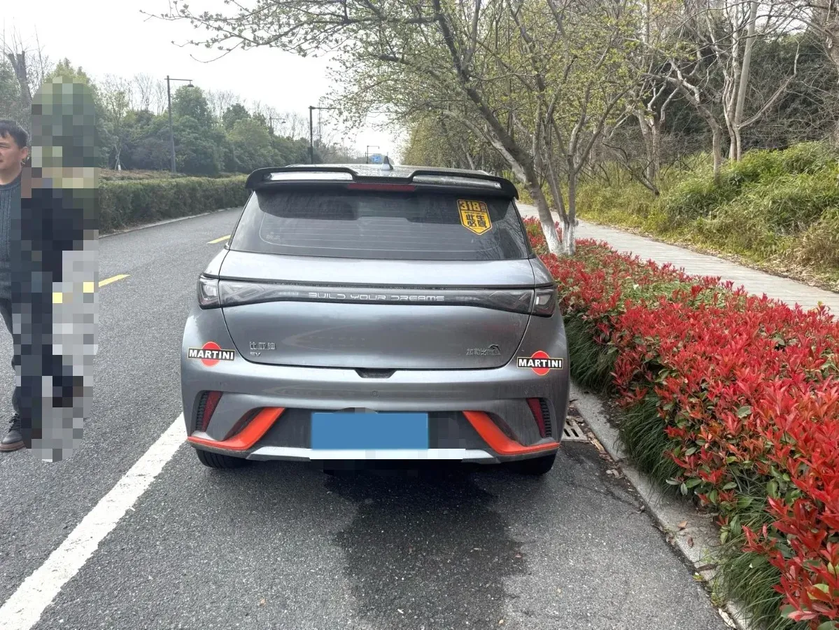 2021 BYD Yuan Pro BEV 50.1KWH,autocango,china used car exporter,china ev exporter,chinese used car exporter,chinese used ev exporter