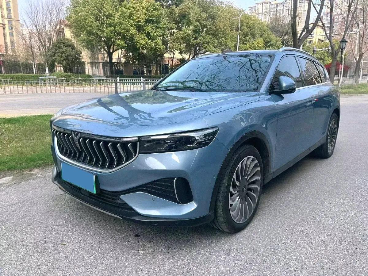 2021 Voyah FREE Range Extended 109HP REEV 33KWH,autocango,china used car exporter,china ev exporter,chinese used car exporter,chinese used ev exporter