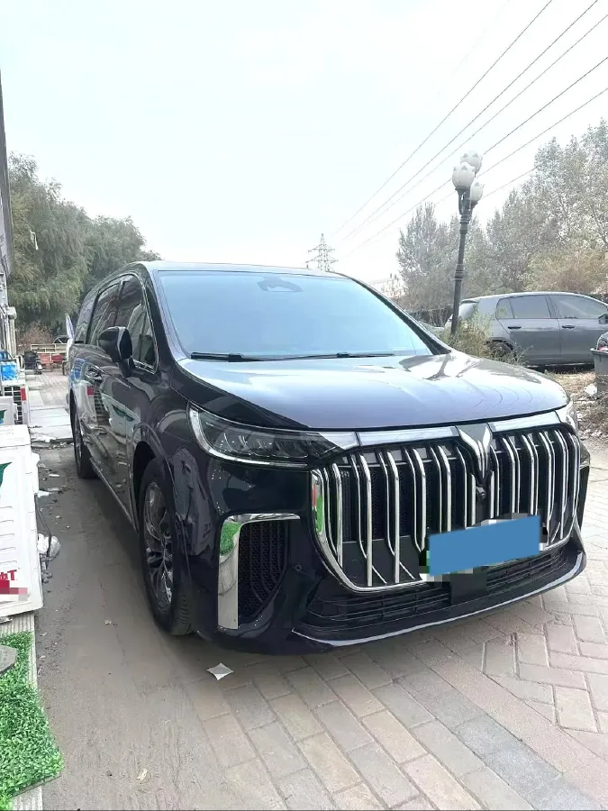 2022 Voyah Dream 1.5T 136HP L4 PHEV 25.57KWH,autocango,china used car exporter,china ev exporter,chinese used car exporter,chinese used ev exporter