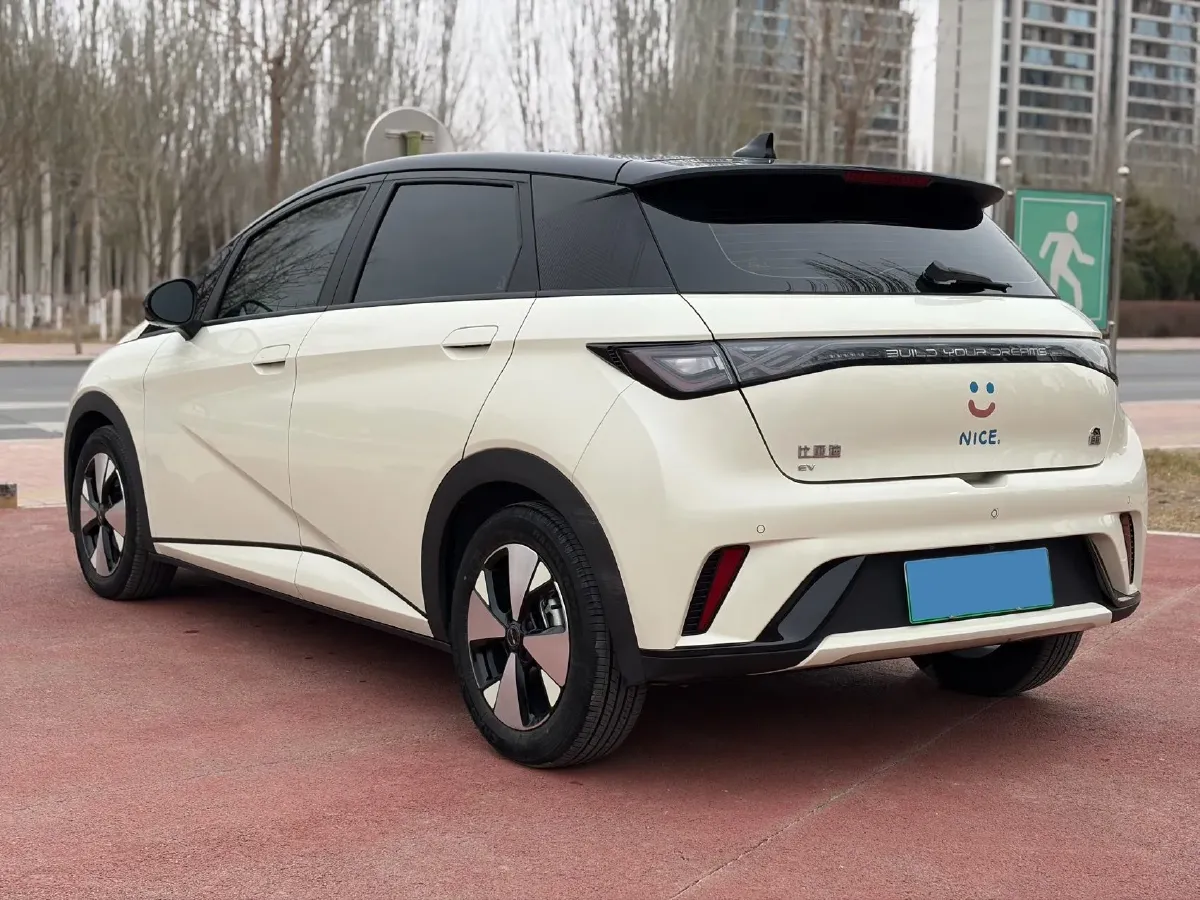 2023 BYD Dolphin BEV 44.928KWH,autocango,china used car exporter,china ev exporter,chinese used car exporter,chinese used ev exporter