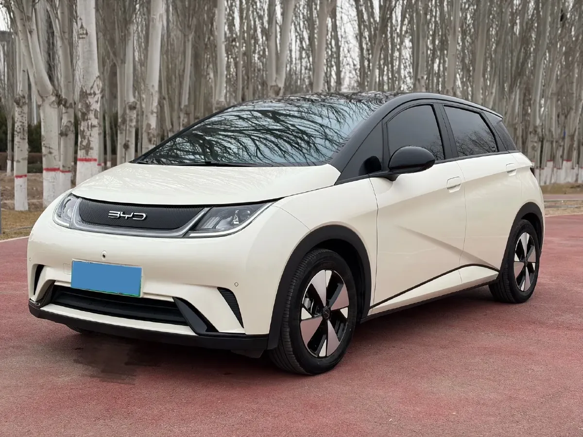 2023 BYD Dolphin BEV 44.928KWH,autocango,china used car exporter,china ev exporter,chinese used car exporter,chinese used ev exporter