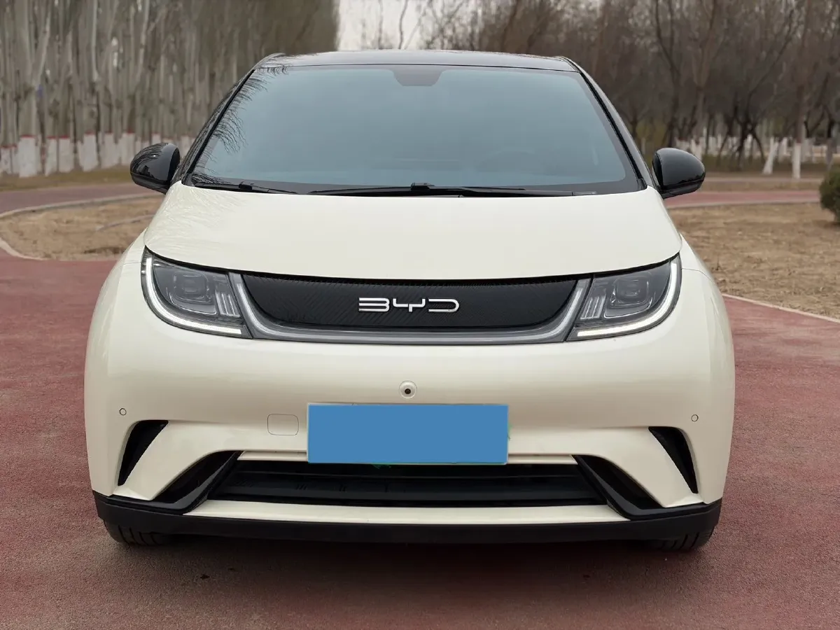 2023 BYD Dolphin BEV 44.928KWH,autocango,china used car exporter,china ev exporter,chinese used car exporter,chinese used ev exporter
