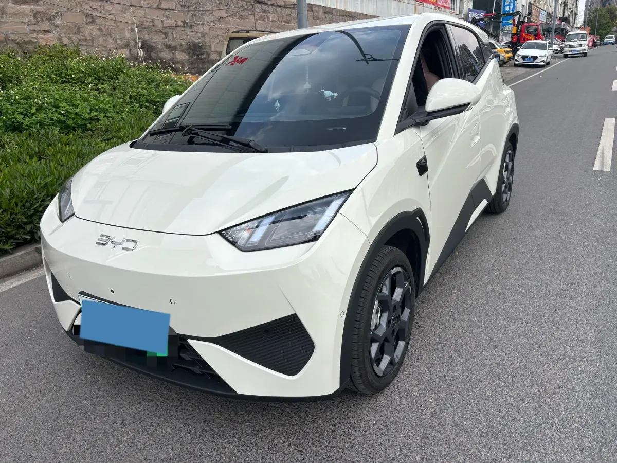 2025 BYD Seagull BEV 30.08KWH,autocango,china used car exporter,china ev exporter,chinese used car exporter,chinese used ev exporter