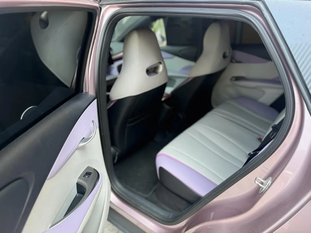 2024 BYD Dolphin BEV 44.928KWH,autocango,china used car exporter,china ev exporter,chinese used car exporter,chinese used ev exporter