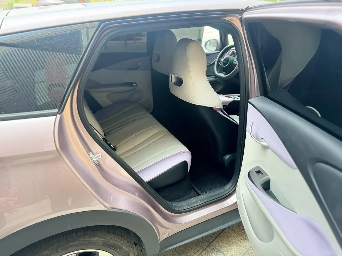 2024 BYD Dolphin BEV 44.928KWH,autocango,china used car exporter,china ev exporter,chinese used car exporter,chinese used ev exporter