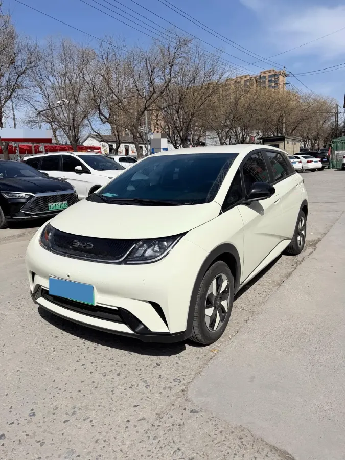 2025 BYD Dolphin BEV 45.12KWH,autocango,china used car exporter,china ev exporter,chinese used car exporter,chinese used ev exporter