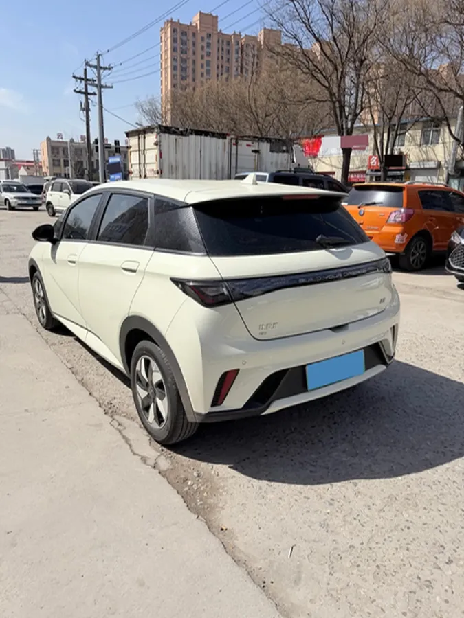 2025 BYD Dolphin BEV 45.12KWH,autocango,china used car exporter,china ev exporter,chinese used car exporter,chinese used ev exporter