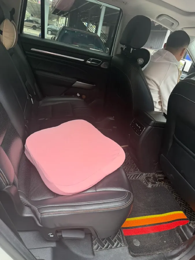 2020 GAC Trumpchi GS8 2.0T 252HP L4 6AT,autocango,china used car exporter,china ev exporter,chinese used car exporter,chinese used ev exporter