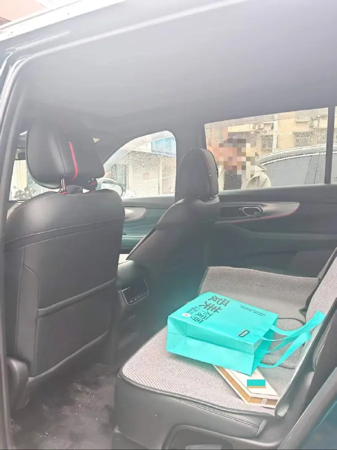 2022 GAC Trumpchi GS8 2.0T 252HP L4 8AT,autocango,china used car exporter,china ev exporter,chinese used car exporter,chinese used ev exporter