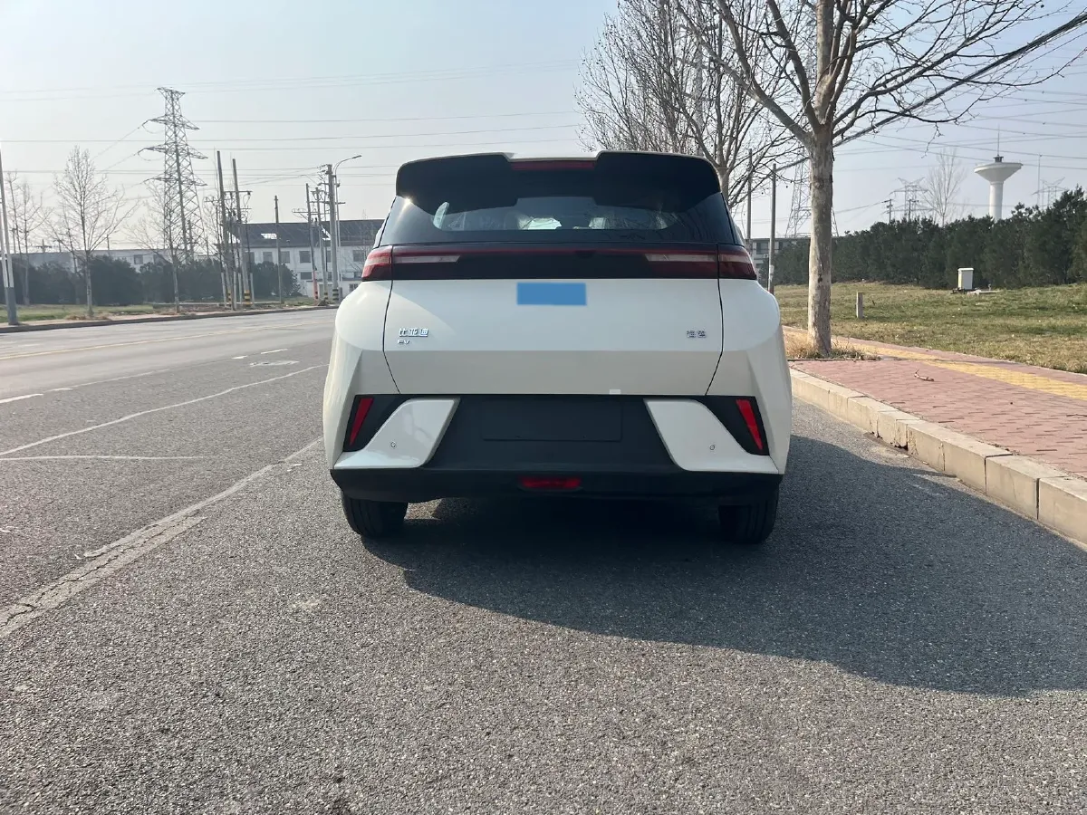 2025 BYD Seagull BEV 30.08KWH,autocango,china used car exporter,china ev exporter,chinese used car exporter,chinese used ev exporter