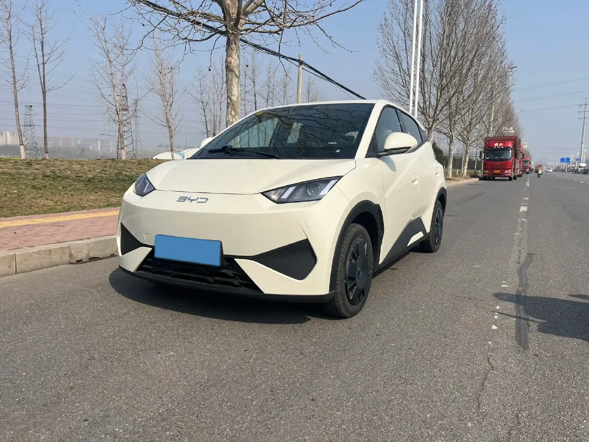 2025 BYD Seagull BEV 30.08KWH,autocango,china used car exporter,china ev exporter,chinese used car exporter,chinese used ev exporter