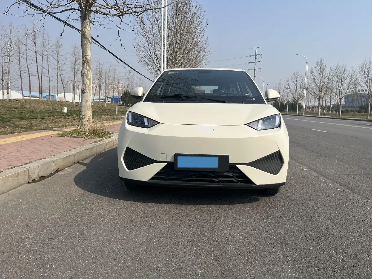 2025 BYD Seagull BEV 30.08KWH,autocango,china used car exporter,china ev exporter,chinese used car exporter,chinese used ev exporter