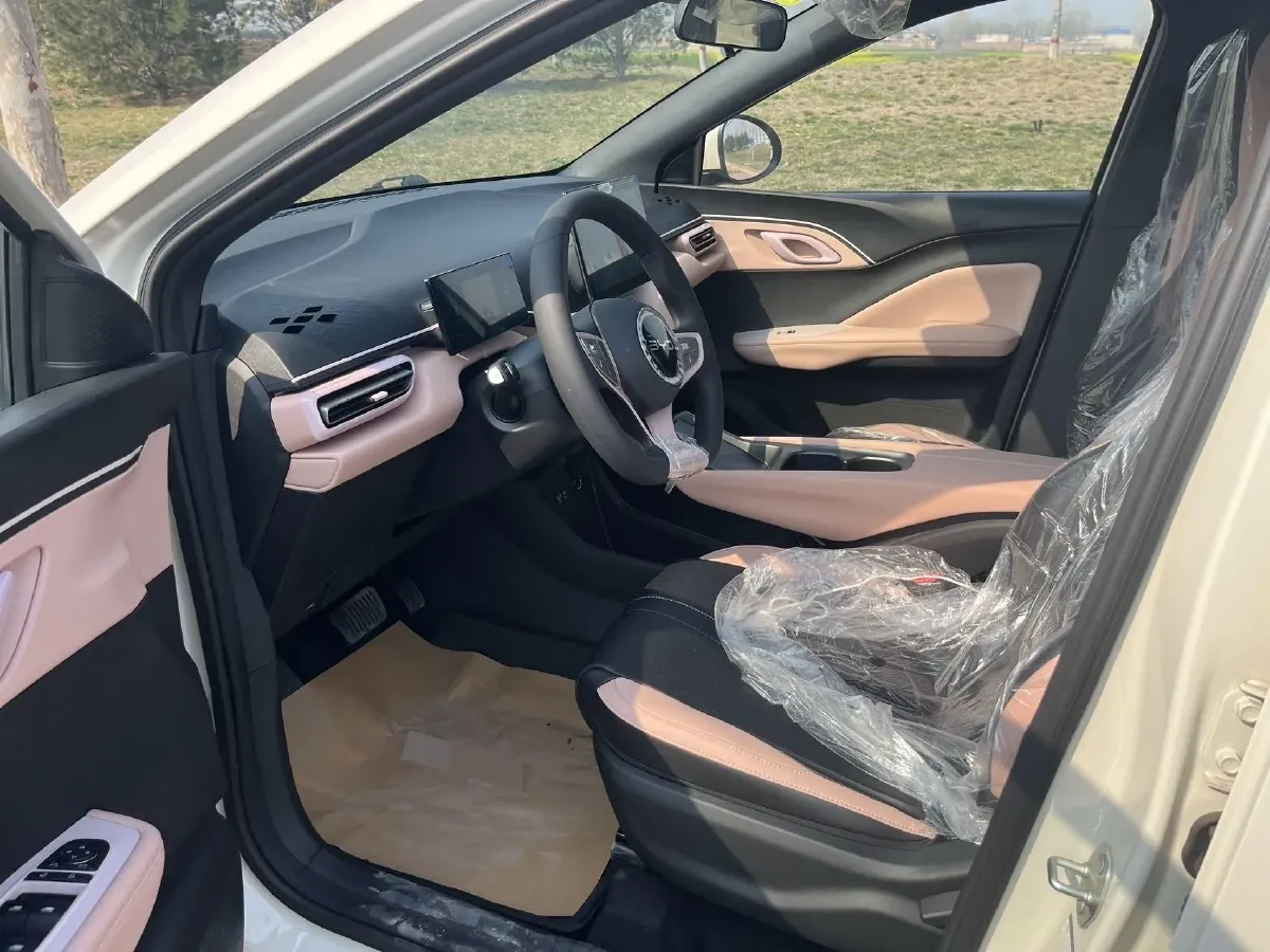 2025 BYD Seagull BEV 30.08KWH,autocango,china used car exporter,china ev exporter,chinese used car exporter,chinese used ev exporter