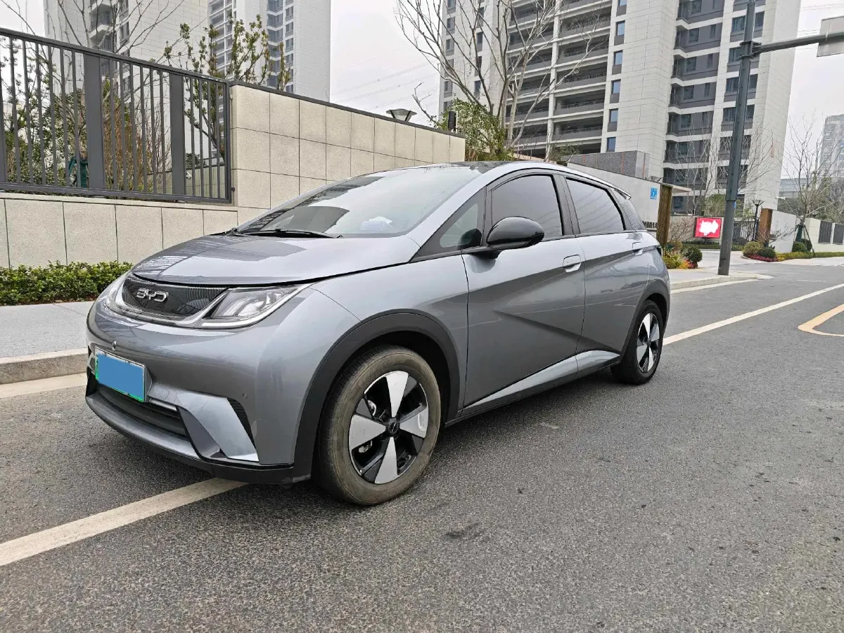2023 BYD Dolphin BEV 44.928KWH,autocango,china used car exporter,china ev exporter,chinese used car exporter,chinese used ev exporter