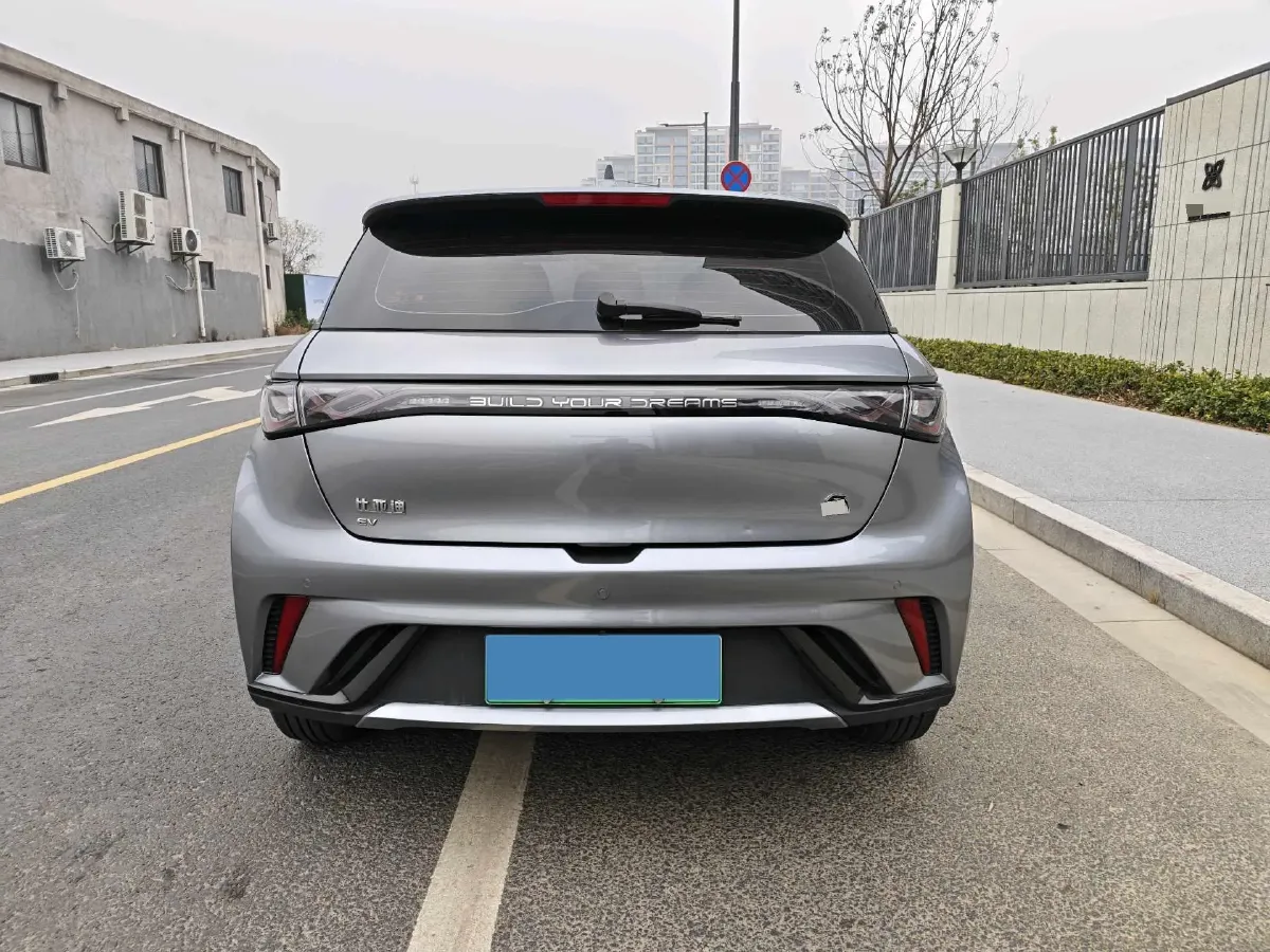 2023 BYD Dolphin BEV 44.928KWH,autocango,china used car exporter,china ev exporter,chinese used car exporter,chinese used ev exporter