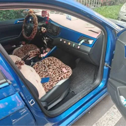 2019 Volkswagen Polo 1.5L 113HP L4 6AT,autocango,china used car exporter,china ev exporter,chinese used car exporter,chinese used ev exporter