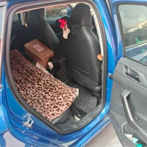 2019 Volkswagen Polo 1.5L 113HP L4 6AT,autocango,china used car exporter,china ev exporter,chinese used car exporter,chinese used ev exporter