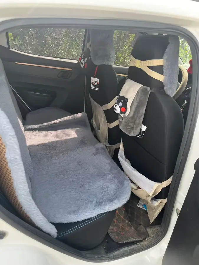 2021 DongFeng eπ Nami EX1 BEV 26.8KWH,autocango,china used car exporter,china ev exporter,chinese used car exporter,chinese used ev exporter