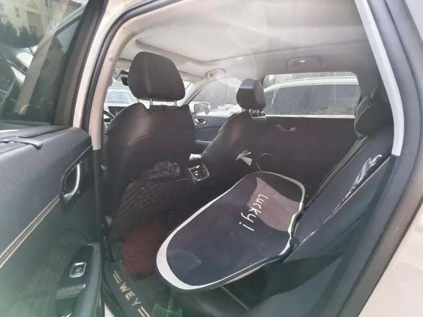 2022 WEY Latte DHT 1.5T 156HP L4 2DHT Hybrid,autocango,china used car exporter,china ev exporter,chinese used car exporter,chinese used ev exporter