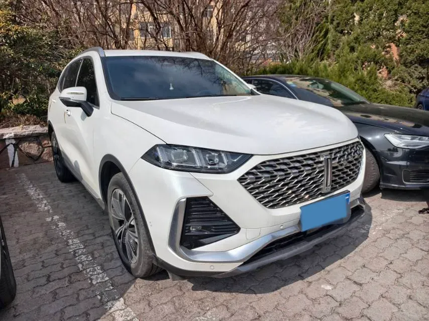 2022 WEY Latte DHT 1.5T 156HP L4 2DHT Hybrid,autocango,china used car exporter,china ev exporter,chinese used car exporter,chinese used ev exporter