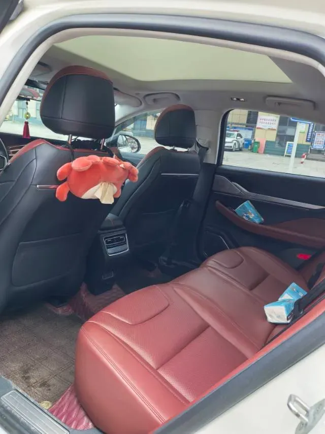 2025 Lincoln Z 2.0T 261HP L4 8AT,autocango,china used car exporter,china ev exporter,chinese used car exporter,chinese used ev exporter