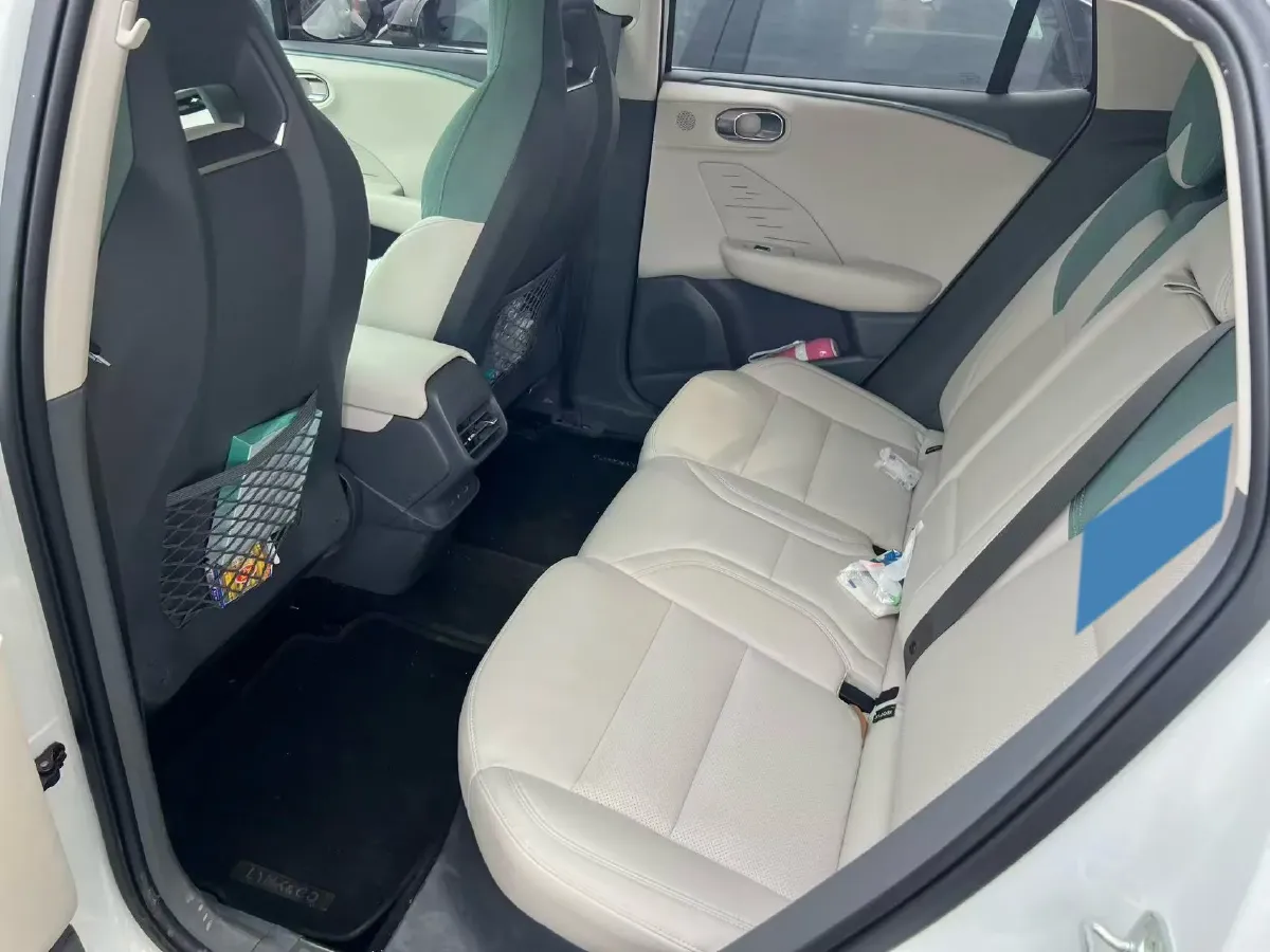 2023 Jenhoo EV48 BEV 41.86KWH,autocango,china used car exporter,china ev exporter,chinese used car exporter,chinese used ev exporter