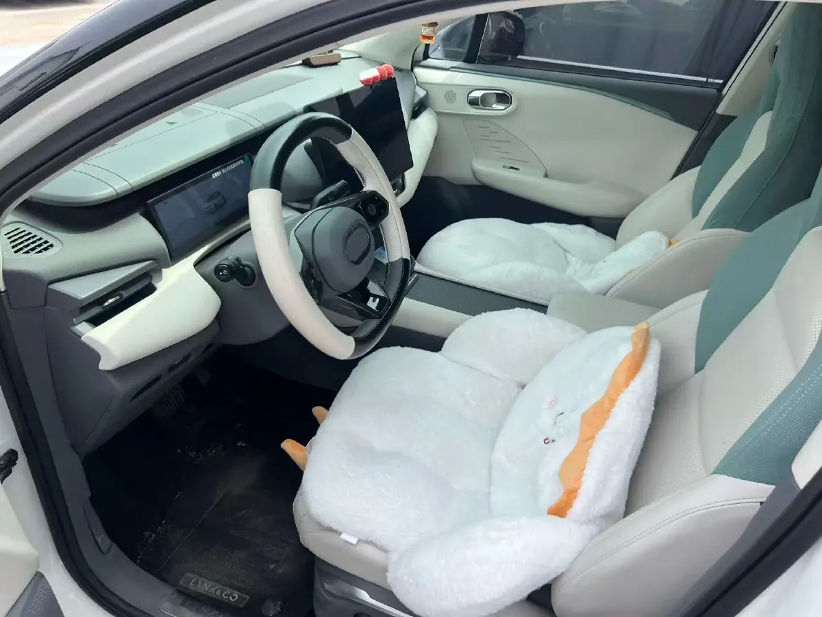 2023 Jenhoo EV48 BEV 41.86KWH,autocango,china used car exporter,china ev exporter,chinese used car exporter,chinese used ev exporter