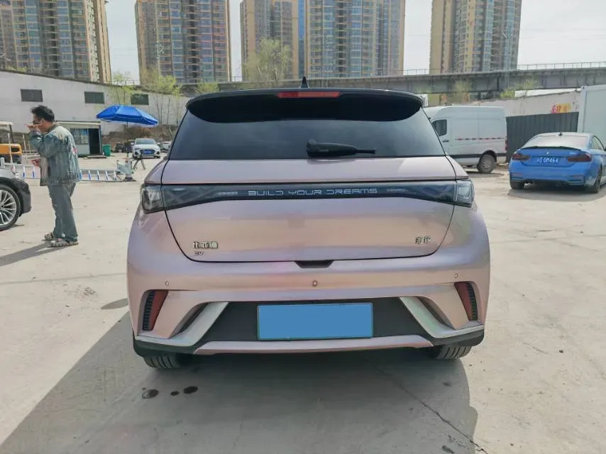 2024 BYD Dolphin BEV 44.928KWH,autocango,china used car exporter,china ev exporter,chinese used car exporter,chinese used ev exporter