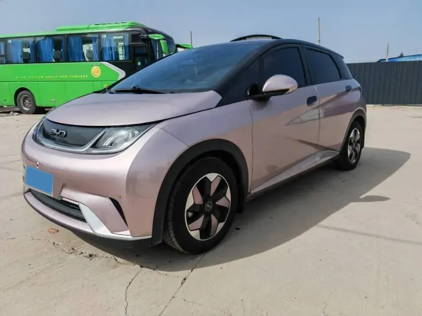 2024 BYD Dolphin BEV 44.928KWH,autocango,china used car exporter,china ev exporter,chinese used car exporter,chinese used ev exporter