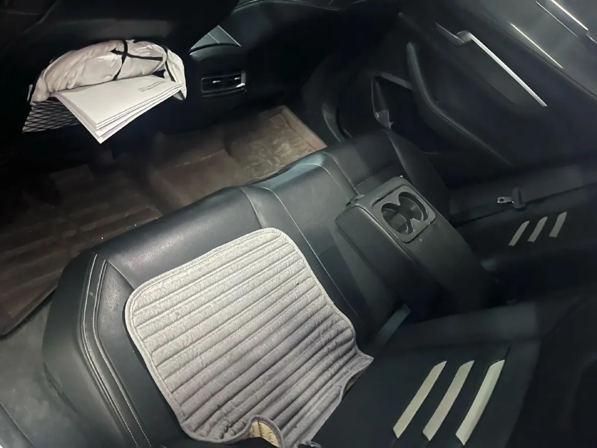 2019 BYD Qin Pro BEV 56.4KWH,autocango,china used car exporter,china ev exporter,chinese used car exporter,chinese used ev exporter