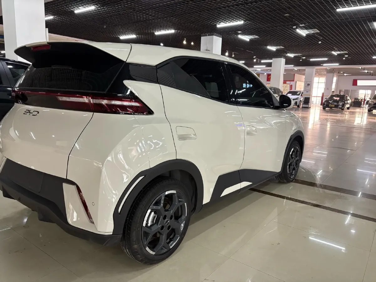 2025 BYD Seagull BEV 30.08KWH,autocango,china used car exporter,china ev exporter,chinese used car exporter,chinese used ev exporter