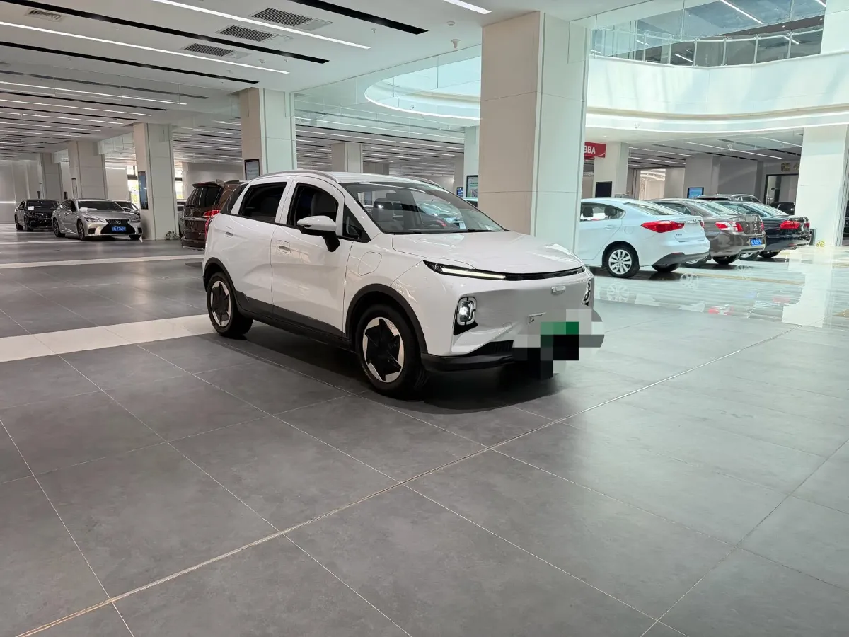 2024 Geometry E BEV 29.67KWH,autocango,china used car exporter,china ev exporter,chinese used car exporter,chinese used ev exporter