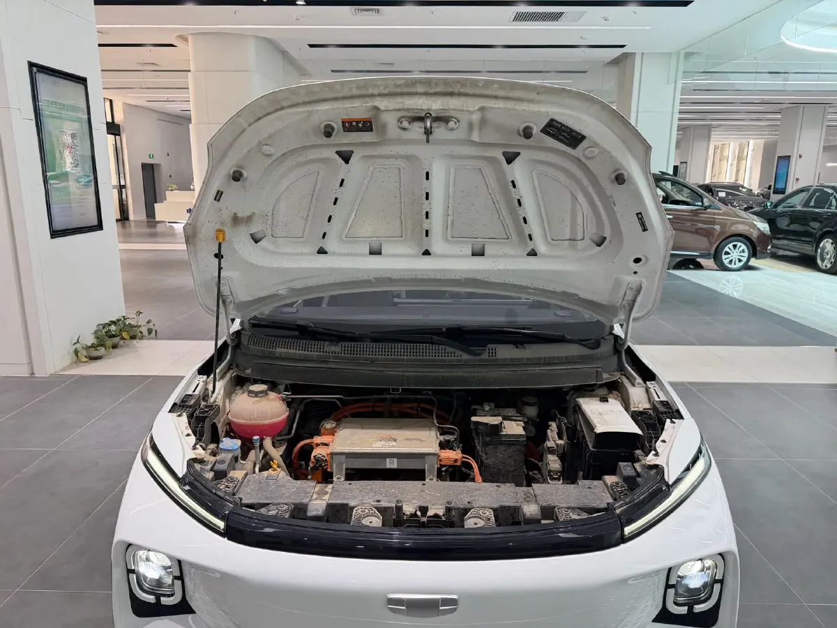 2024 Geometry E BEV 29.67KWH,autocango,china used car exporter,china ev exporter,chinese used car exporter,chinese used ev exporter