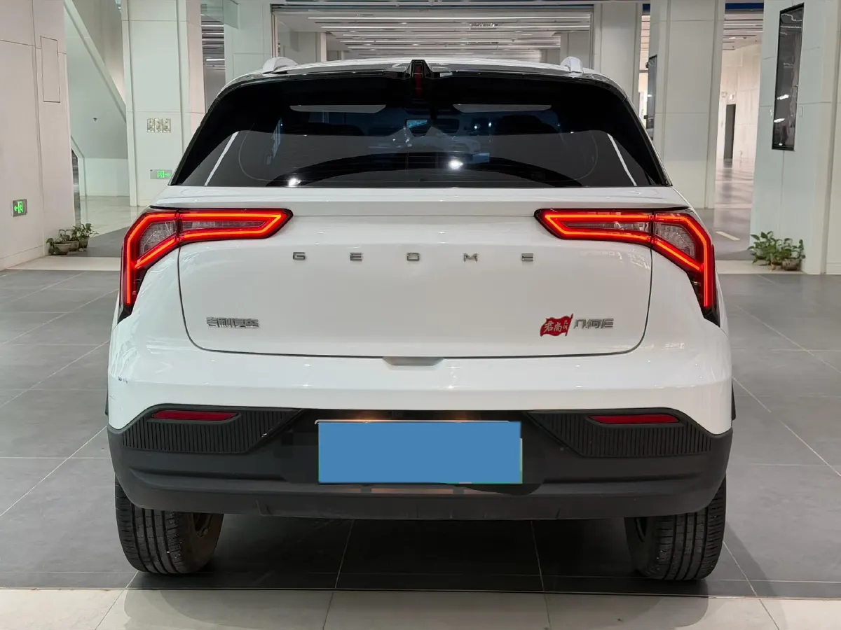 2024 Geometry E BEV 29.67KWH,autocango,china used car exporter,china ev exporter,chinese used car exporter,chinese used ev exporter