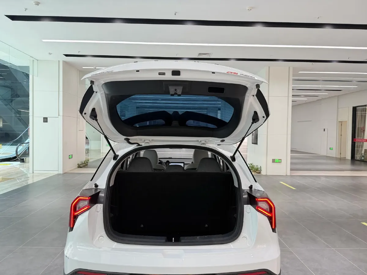 2024 Geometry E BEV 29.67KWH,autocango,china used car exporter,china ev exporter,chinese used car exporter,chinese used ev exporter