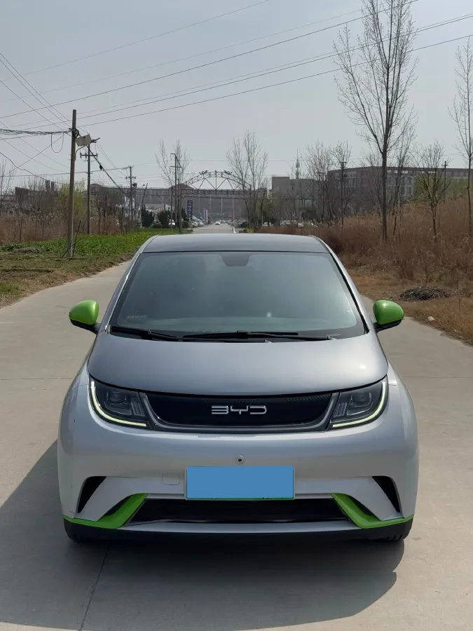 2021 BYD Yuan Pro BEV 50.1KWH,autocango,china used car exporter,china ev exporter,chinese used car exporter,chinese used ev exporter