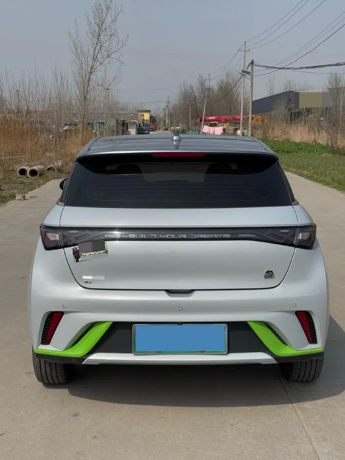 2021 BYD Yuan Pro BEV 50.1KWH,autocango,china used car exporter,china ev exporter,chinese used car exporter,chinese used ev exporter