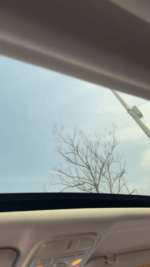 2021 Haval H6 1.5T 150HP L4 7DCT,autocango,china used car exporter,china ev exporter,chinese used car exporter,chinese used ev exporter