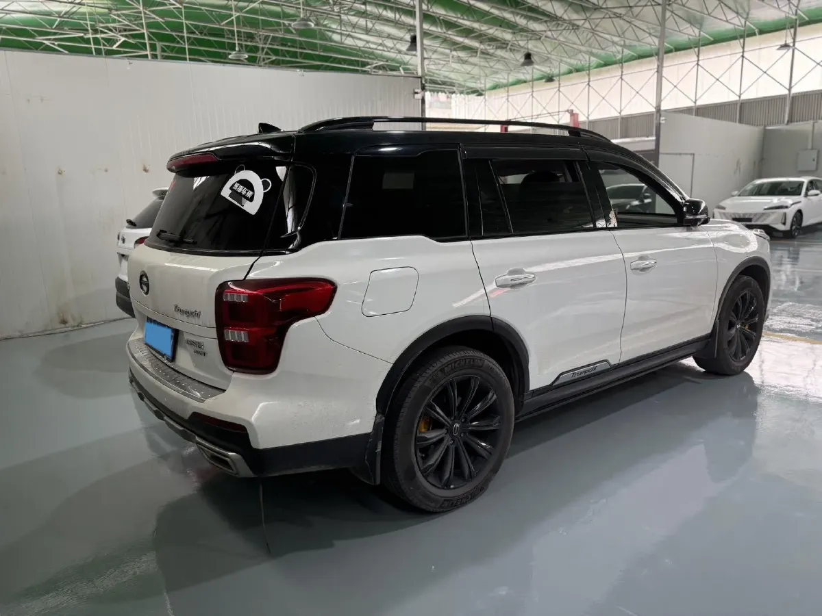 2020 GAC Trumpchi GS8 2.0T 252HP L4 6AT,autocango,china used car exporter,china ev exporter,chinese used car exporter,chinese used ev exporter