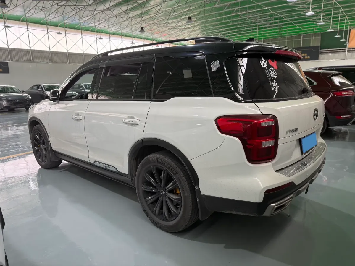 2020 GAC Trumpchi GS8 2.0T 252HP L4 6AT,autocango,china used car exporter,china ev exporter,chinese used car exporter,chinese used ev exporter