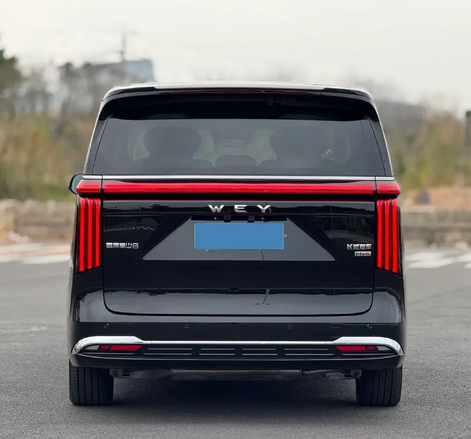 2025 WEY HighMountain 1.5T 170HP L4 4DHT PHEV,autocango,china used car exporter,china ev exporter,chinese used car exporter,chinese used ev exporter