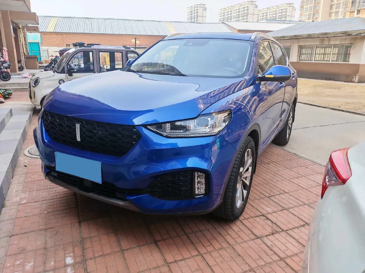 2018 WEY VV6 2.0T 197HP L4 7DCT,autocango,china used car exporter,china ev exporter,chinese used car exporter,chinese used ev exporter