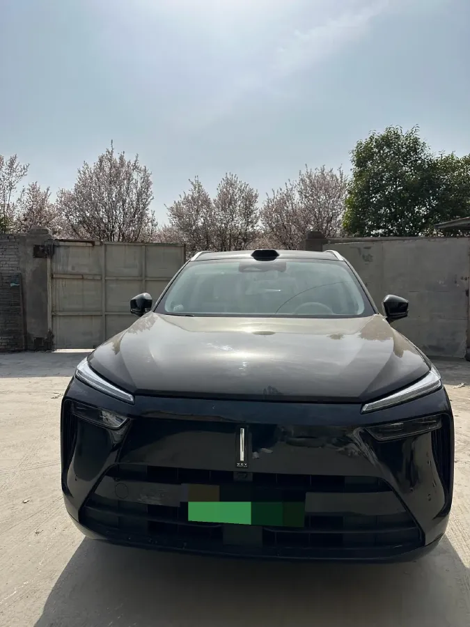 2025 WEY BlueMountain 1.5T 170HP L4 4DHT PHEV 44.5KWH,autocango,china used car exporter,china ev exporter,chinese used car exporter,chinese used ev exporter