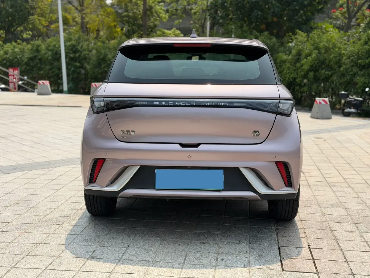 2021 BYD Yuan Pro BEV 50.1KWH,autocango,china used car exporter,china ev exporter,chinese used car exporter,chinese used ev exporter