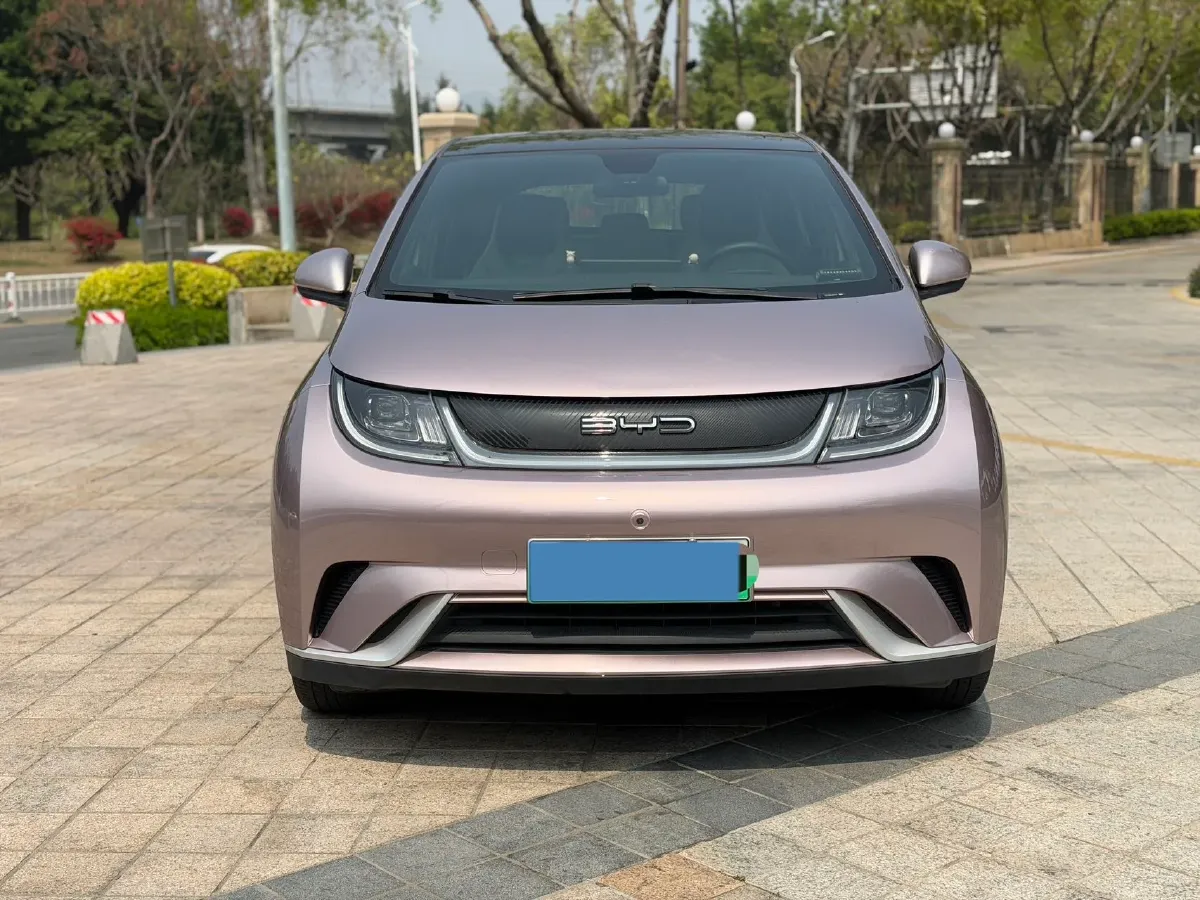 2021 BYD Yuan Pro BEV 50.1KWH,autocango,china used car exporter,china ev exporter,chinese used car exporter,chinese used ev exporter